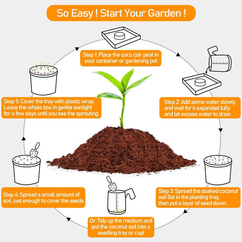 Diagram of planting process using 50 Pack 30mm Coco Coir Pellets Seed Starter Soil Mix Organic Coconut Coir Pods For Seedlings