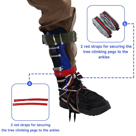 Adjustable Tree Climbing Spikes For Arborist Work With Belt And Rope Pro Grade Steel Gear For Tree Pruning Durable Foot Pad