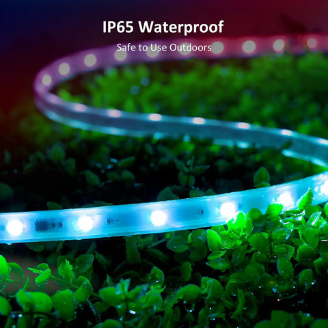 Rainbow Color Smart RGB IC LED Strip Light Kit With Music Sync For Outdoor 105ft Rope Lights 24V IP65 Waterproof glowing in garden.