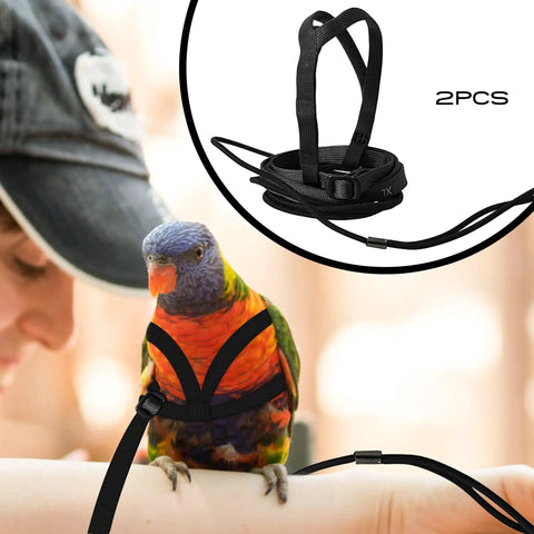XL Parrot Harness And Leash Set For Outdoor Flight Training on parrot, adjustable anti bite design, lightweight rope for birds