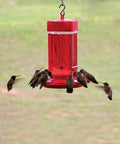 Hummingbird Feeder With Wide Mouth Reservoir And Leakproof Ring, No Drip, 10 Feeding Ports, Easy Fill And Clean, Red, Outdoor Use