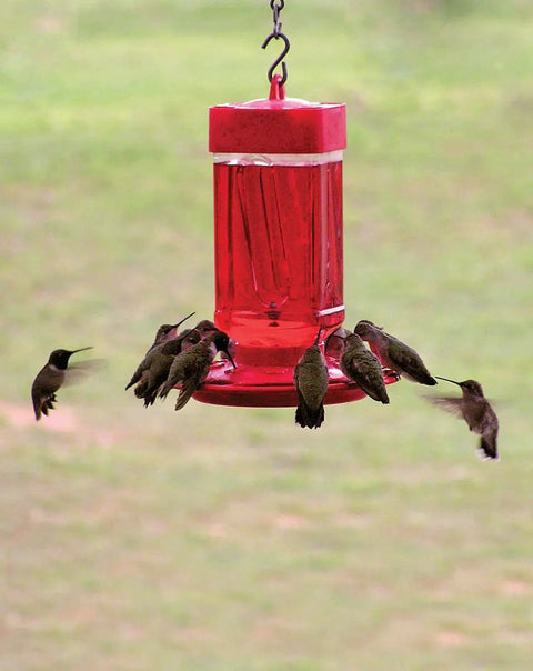 Hummingbird Feeder With Wide Mouth Reservoir And Leakproof Ring, No Drip, 10 Feeding Ports, Easy Fill And Clean, Red, Outdoor Use