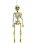 Spooky White Plastic Hanging Skeleton Fifteen Point Five Inch For Halloween Decor Realistic Decayed Bones And Creepy Grin Durable Material