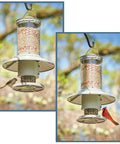 Programmable Automatic Bird Feeder Built Tough Outdoors With Darn Near Squirrel Proof Guard Weather Resistant Body Large Capacity Battery Powered Avian Dish with birds feeding.
