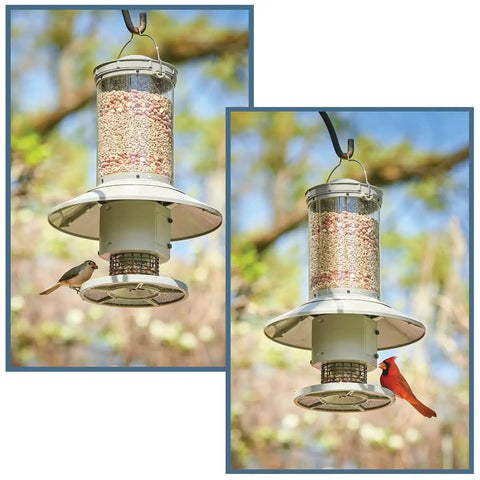 Programmable Automatic Bird Feeder Built Tough Outdoors With Darn Near Squirrel Proof Guard Weather Resistant Body Large Capacity Battery Powered Avian Dish with birds feeding.