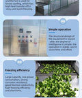 High Capacity Industrial IQF Tunnel Freezer Built Different Stainless Steel Conveyor Belt Blast Freezing System For Quick Freezing Meat Seafood Produce Factory Plant Operations with broccoli on conveyor.