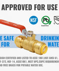 Half Inch Ball Valve Shut Off For Water Supply With Push To Connect Fittings For Pex Copper And CPVC No Lead Brass Includes One Disconnect Clip Pack Of Two