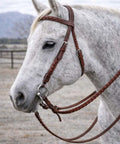 Western Full-Grain Leather Horse Headstall Bridle With Reins, Braided Oiled Tan on white horse's head, rust-resistant hardware visible