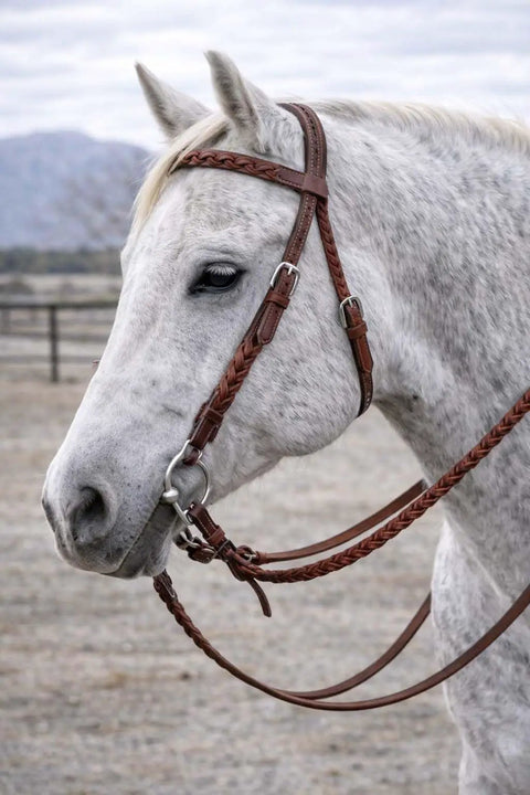 Western Full-Grain Leather Horse Headstall Bridle With Reins, Braided Oiled Tan on white horse's head, rust-resistant hardware visible