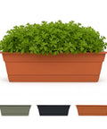 Durable Terra Cotta Window Box Planter With Removable Tray 24 Inch Weatherproof Resin Garden Box For Indoor Outdoor Use 3 Gallon Capacity