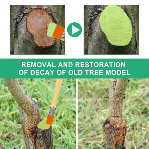 DIY Friendly Tree Pruning Sealer Paste With Brush, 100g Wound Repair Sealer For Trees, Grafting Garden Pruning Paste on tree cuts