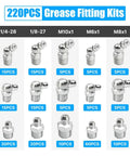 220 Piece Grease Fitting Kit For Metric And SAE Zerk Fittings With M6 M8 M10 And Inch Sizes, angled and straight variants displayed.