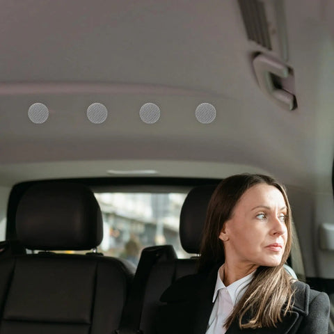 Roof Headliner Repair Pins Set 50 Pieces Gray Flannelette Interior Ceiling Fabric Fix For Sagging Convertible Tops And Automotive Trim Restoration Easy DIY Install showing installation in car ceiling.
