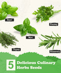 Image showing five herb varieties: Basil, Parsley, Mint, Thyme, Rosemary included in the All In One Kitchen Windowsill Herb Garden Starter Kit That Makes Growing Basil Parsley Rosemary Thyme Mint A Breeze With Five Seed Varieties Planter Box Bags Discs Markers Tools Pruner Water Bottle And Easy DIY Guide.