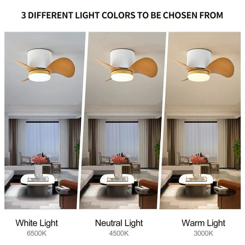 Low Profile Ceiling Fan With Lights And Remote 22 Inch Modern Reversible Multi Speed Flush Mount Ceiling Fan showcasing 3 LED colors