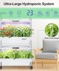 Movable Two Layer Indoor Hydroponic Garden System With 54 Pods And 30W LED Grow Light showcasing veggies on a kitchen counter.