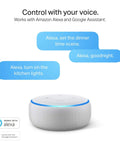 Smart speaker with text instructions on controlling lights with Dimmable A19 Smart Light Bulb 9W 800 Lumens Soft White 2700K With WiFi 2.4GHz No Hub Needed Works With Alexa And Google Home Four Pack For Bright Cozy Rooms And Energy Monitoring