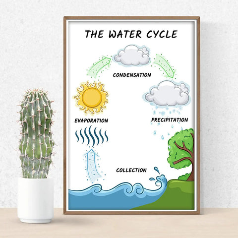 Water Cycle Poster For Science Classrooms 12 By 18 Inch Wall Decor A Kid Friendly And Engaging Learning Tool depicting water cycle stages.