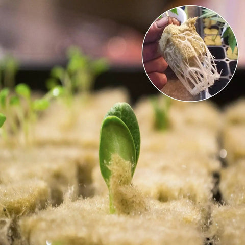 1 Inch Rockwool Cubes For Easy Seed Starting And Cloning In Hydroponics Soilless Grow Setup Plugs Seed Starters For Germination Of Cuttings And Seedlings With 2 Sheets And 100 Pieces