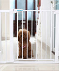 Heavy Duty Pet Safety Gate With Auto Close, Extra Tall And Wide 29.5 To 51.5 Inch Adjustable Range in hallway with a dog behind