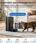 Smart Automatic Pet Feeder And Water Fountain For Cats And Dogs With Wifi App Control And Voice Recorder. Kitchen scene with cat.