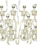 Set of 10 16 Inch Posable Halloween Skeleton With Movable Joints Full Body Prop for indoor decor and art projects