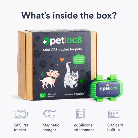 Hella Dependable 4G Lte Cat Gps Tracker With Real Time Location Monitoring And Smart Geofence Alerts To Keep Tabs On Your Fur Babies in packaging.
