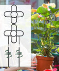 Indoor plant with metal trellis, Two Pack 24 Inch Indoor Plant Trellis Set For Climbing Vines And Potted Plants Sturdy Metal Plant Support