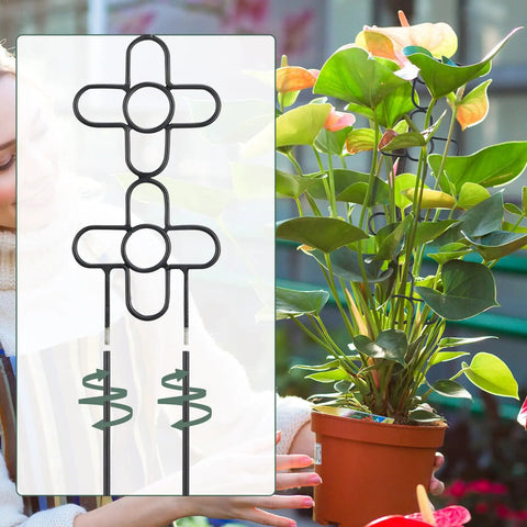 Indoor plant with metal trellis, Two Pack 24 Inch Indoor Plant Trellis Set For Climbing Vines And Potted Plants Sturdy Metal Plant Support