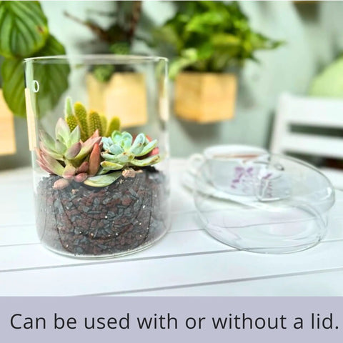 Glass Terrarium Jar With Lid 6x9 Inch Indoor Planter For Succulents Cacti Ferns Moss Reptiles Mini Fairy Moss Cool Tabletop Decoration For Home Office Kitchen Windowsill Garden Decor