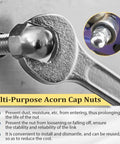 Durable 304 Stainless Steel Acorn Nuts Assortment Kit – 100 Pieces with bolt and wrench close-up