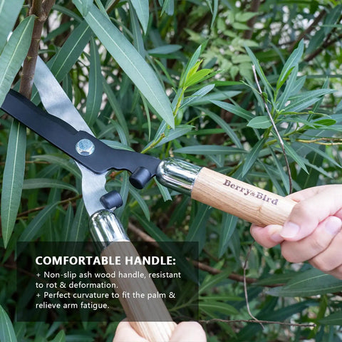 Heavy Duty Garden Hedge Shears 19.88 Inch Reach With Wooden Handles And Pro-Grade Carbon Steel Blades trimming plant