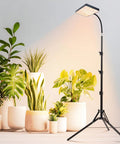 Bright 25W Grow Light With Stand For Indoor Tall Plants And Bonsai, Height Adjustable From 40 To 64 Inches next to plants