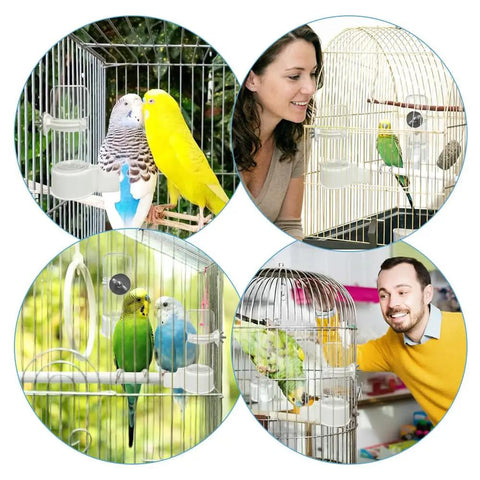 Automatic Bird Water Feeder With Secure Anti Tip Bowl For Small Cages in use with happy birds and owners.