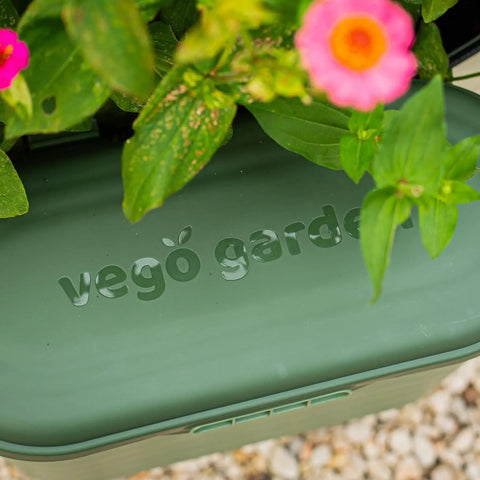 Heavy Duty Garden Tool Box Basil Green With Hinged Lid For Easy Access And Protection, Durable Plastic Material