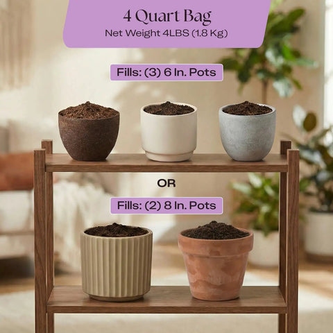 Orchid Potting Mix With Superior Aeration And Drainage For Thriving Orchids Peat Free Microbially Active Biochar Powered Soil For Orchid Plants Ideal For Indoor Gardening 4 Quarts in three 6-inch and two 8-inch pots on a wooden shelf.