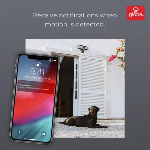 Smart WiFi Security Light With Camera, 24W LED, 1600 Lumens, Motion Sensor, iPhone showing motion notification, dog