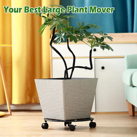 Heavy Duty Rolling Plant Stands With Wheels Two Pack Metal Plant Caddy Smooth Cast Iron Rollers For Indoor Plant Pots gliding with a potted plant.
