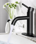 Modern Single-Handle Black Stainless Steel Bathroom Faucet With Deck Plate And Pop Up Drain, Fits 1 And 3 Hole Vanities