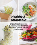 Various dishes featuring fresh sprouts from Two Wide Mouth Sprouting Jars Kit With 316 Stainless Steel Lids, Drip Tray, and Stand