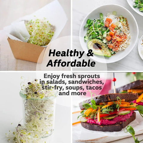 Various dishes featuring fresh sprouts from Two Wide Mouth Sprouting Jars Kit With 316 Stainless Steel Lids, Drip Tray, and Stand