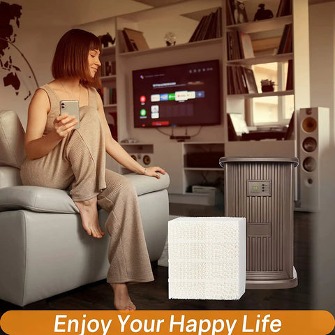 1043 Humidifier Wick Filter Replacement For Essick Air EP9 EP9R in living room with woman on couch