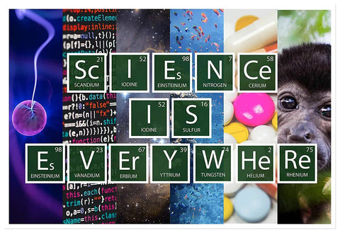 Science Is Everywhere Periodic Table Poster For Classrooms 12 By 18 Inches showing scientific elements and images