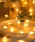 Warm White LED Star String Lights 10 Ft Battery Operated For Indoor Outdoor Decor draped over a small plant on a decorative tray