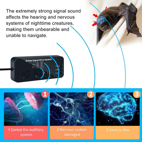 Two Stage Ultrasonic Animal Deterrent System For Home Use High Efficiency Pest Repeller impact on nocturnal animals