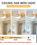 Compact 20 Inch Ceiling Fan With Light And Remote Whisper Quiet DC Motor Farmhouse Vibe Flush Mount Three Reversible Blades