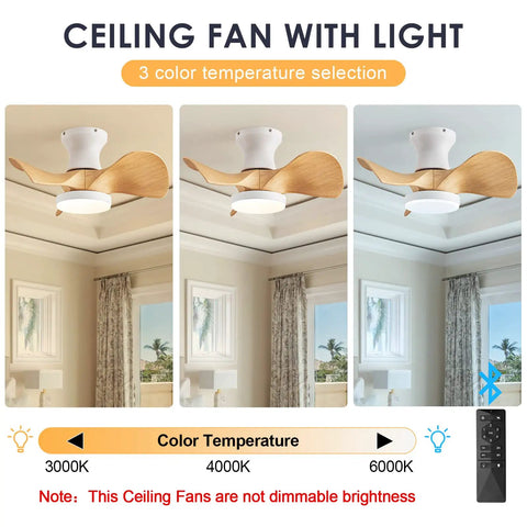 Compact 20 Inch Ceiling Fan With Light And Remote Whisper Quiet DC Motor Farmhouse Vibe Flush Mount Three Reversible Blades