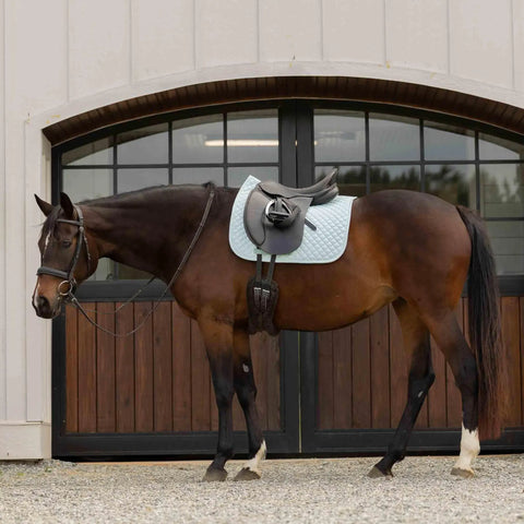Dressage Saddle Pad With Moisture Wicking Tricot Backing In Misty Jade For Everyday Riding Comfort Contoured Withers Fit