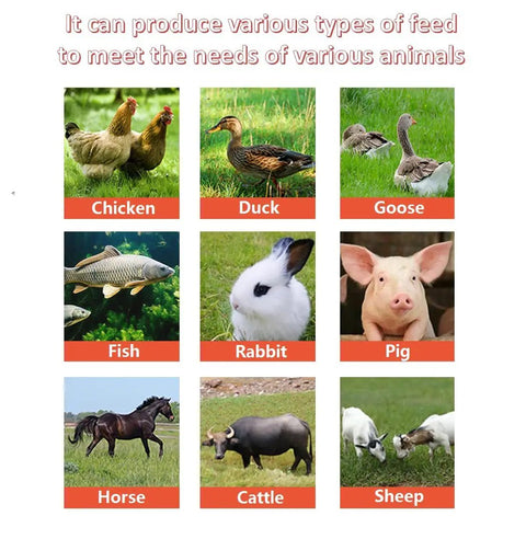 Animals supported by Electric Hay Cutter Machine: chicken, duck, goose, fish, rabbit, pig, horse, cattle, sheep.
