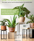 Automatic Watering System For 15 Potted Indoor Houseplants With No Fuss Digital Programmable Timer and plants setup